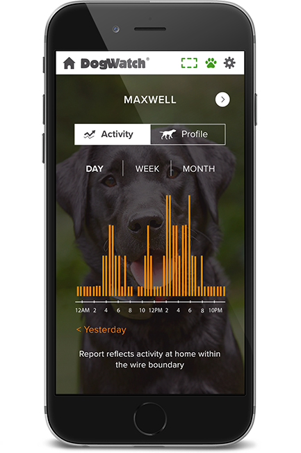 DogWatch of Tampa, Sarasota, Florida | SmartFence WebApp Image