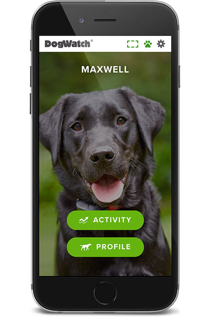 DogWatch of Tampa, Sarasota, Florida | SmartFence WebApp Image