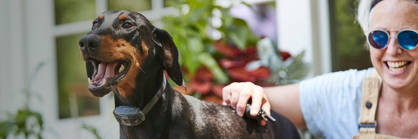 DogWatch of Tampa, Sarasota, Florida | Remote Dog Training Collars Slider Image