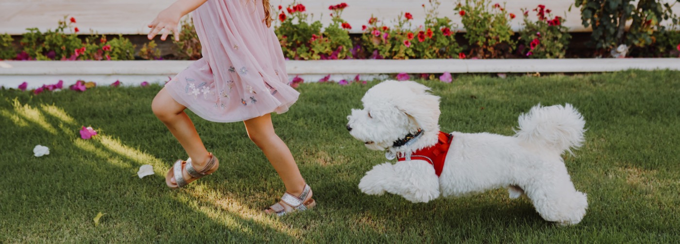 DogWatch of Tampa, Sarasota, Florida | Outdoor Hidden Dog Fences Slider Image